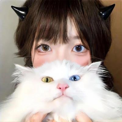 春运之无尽归途